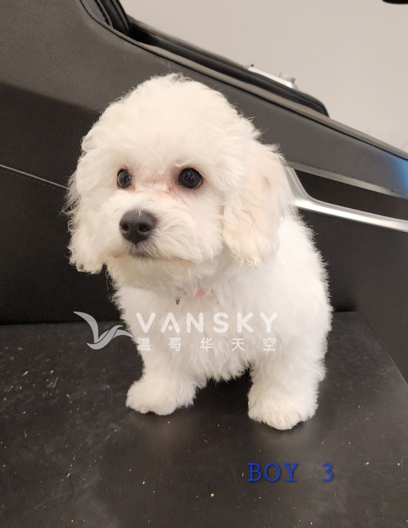 260420100540_Boy 3.jpg